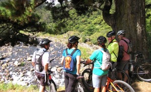 Hauraki Rail Trail