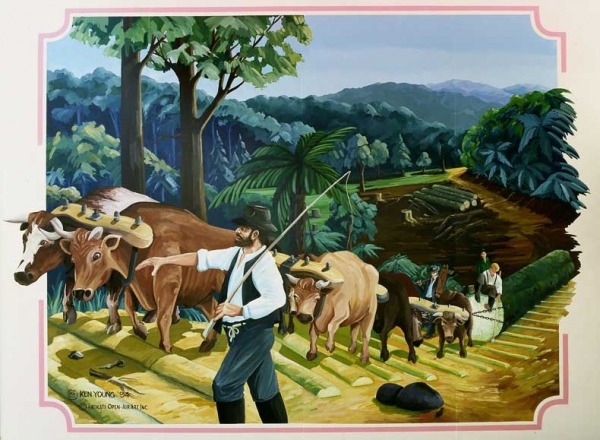 Bullock Team Mural - Katikati