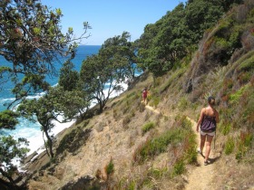 The Homunga to Waihi Beach walking track