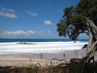 Orokawa Bay. Photo: Barry Jesney